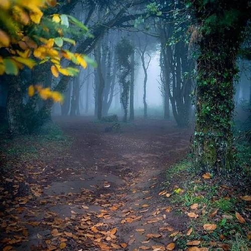 میثم حسینی درگیر اون چشم سیات آره فدات